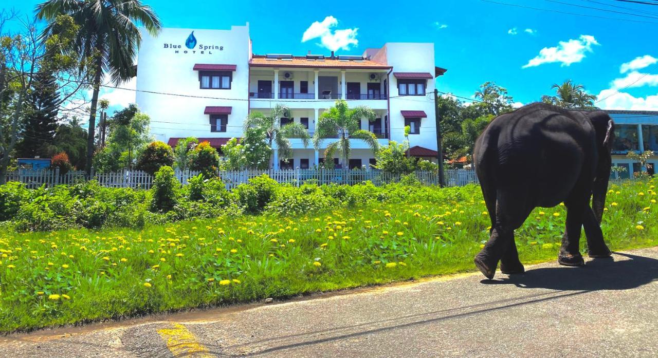 Blue Spring Hotel Wadduwa Esterno foto